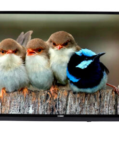 I-COMMIT 126 cm (50 inches) Ultra HD 4K Smart Android LED TV