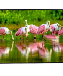 I-COMMIT 189 cm (75 inches) Ultra HD 4K Smart Android LED TV